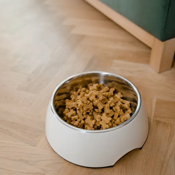 Ração para cães adultos, 10 kg